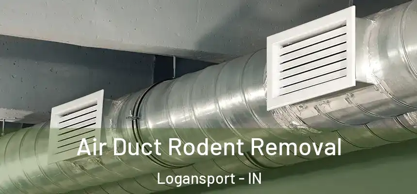 Air Duct Rodent Removal Logansport - IN