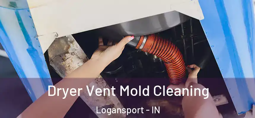  Dryer Vent Mold Cleaning Logansport - IN