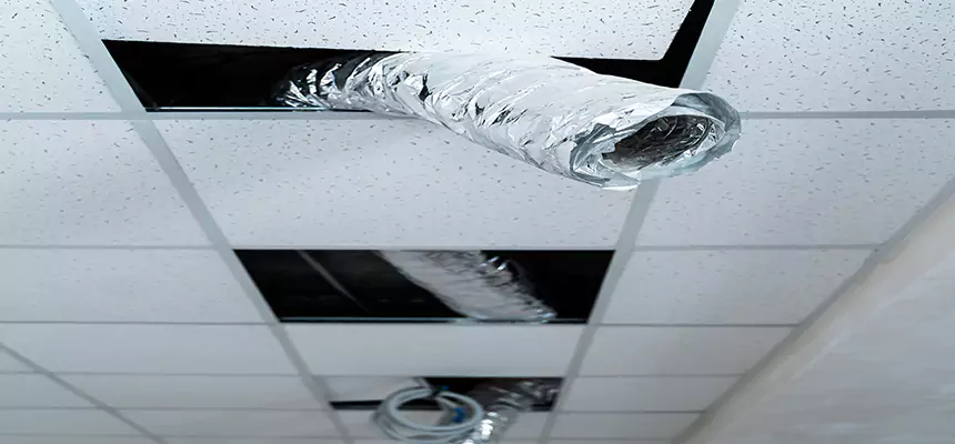 Our Air Duct Pet Hair Removal Services in Logansport, IN