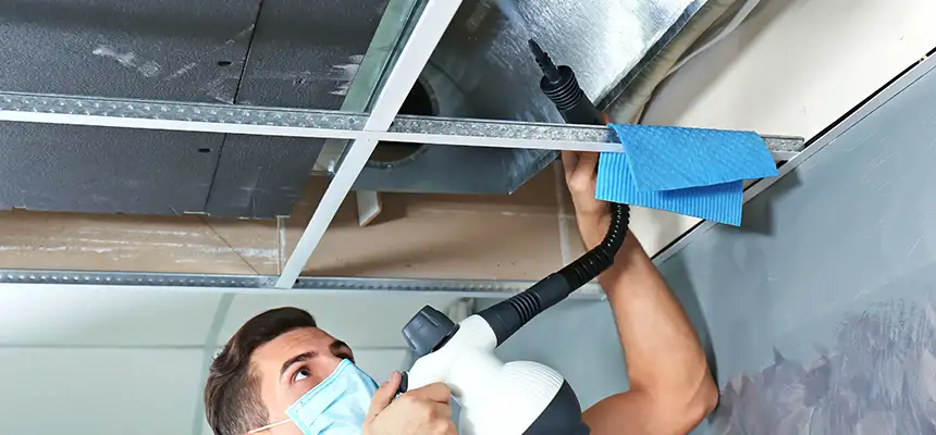 Our Air Duct Rodent Removal Services in Logansport, IN