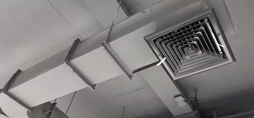 Restorative Allergy Relief Vent Cleaning – Coil, Blower & Housing Detail in Logansport