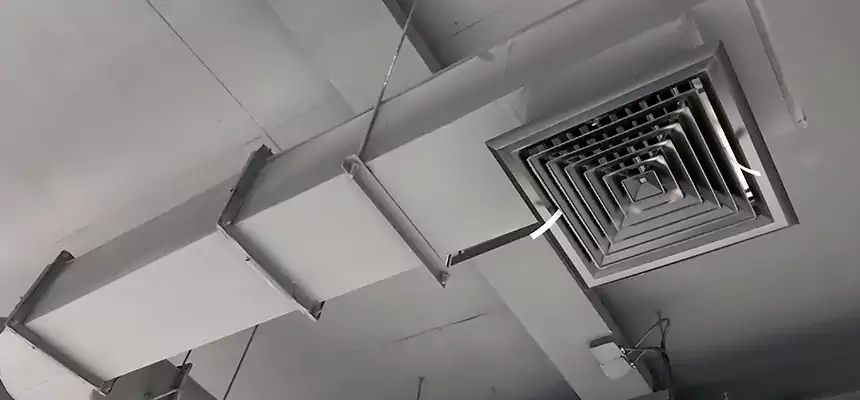 Our Pest Removal From Ducts Services in Logansport, IN