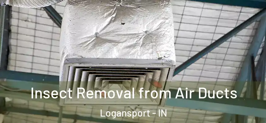  Insect Removal from Air Ducts Logansport - IN