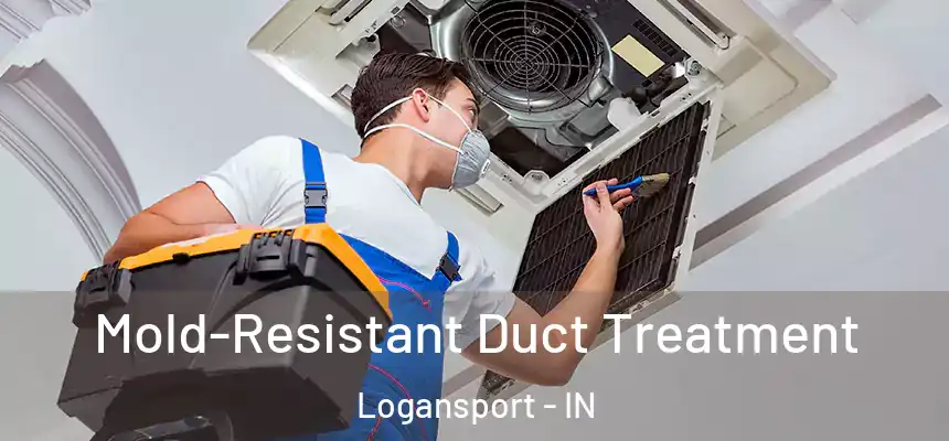 Mold-Resistant Duct Treatment Logansport - IN