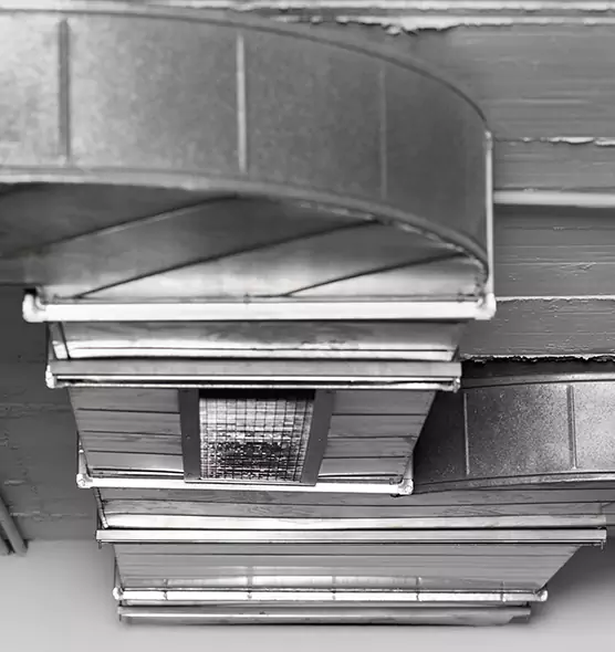 Professional Air Duct Pest Removal in Logansport, IN