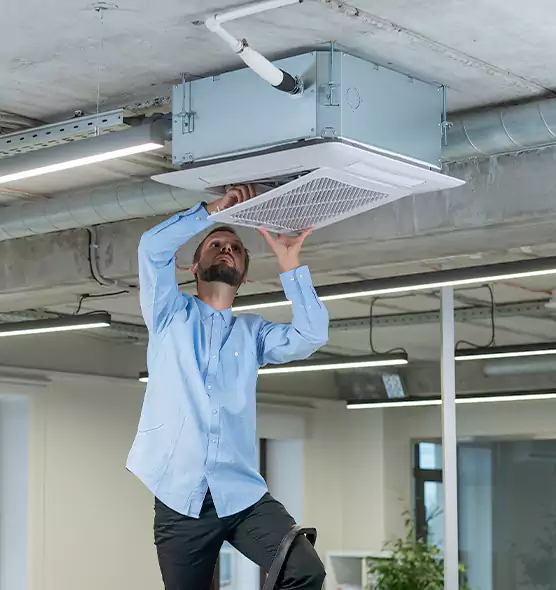Advanced Rodent Droppings In Vents in Logansport, IN